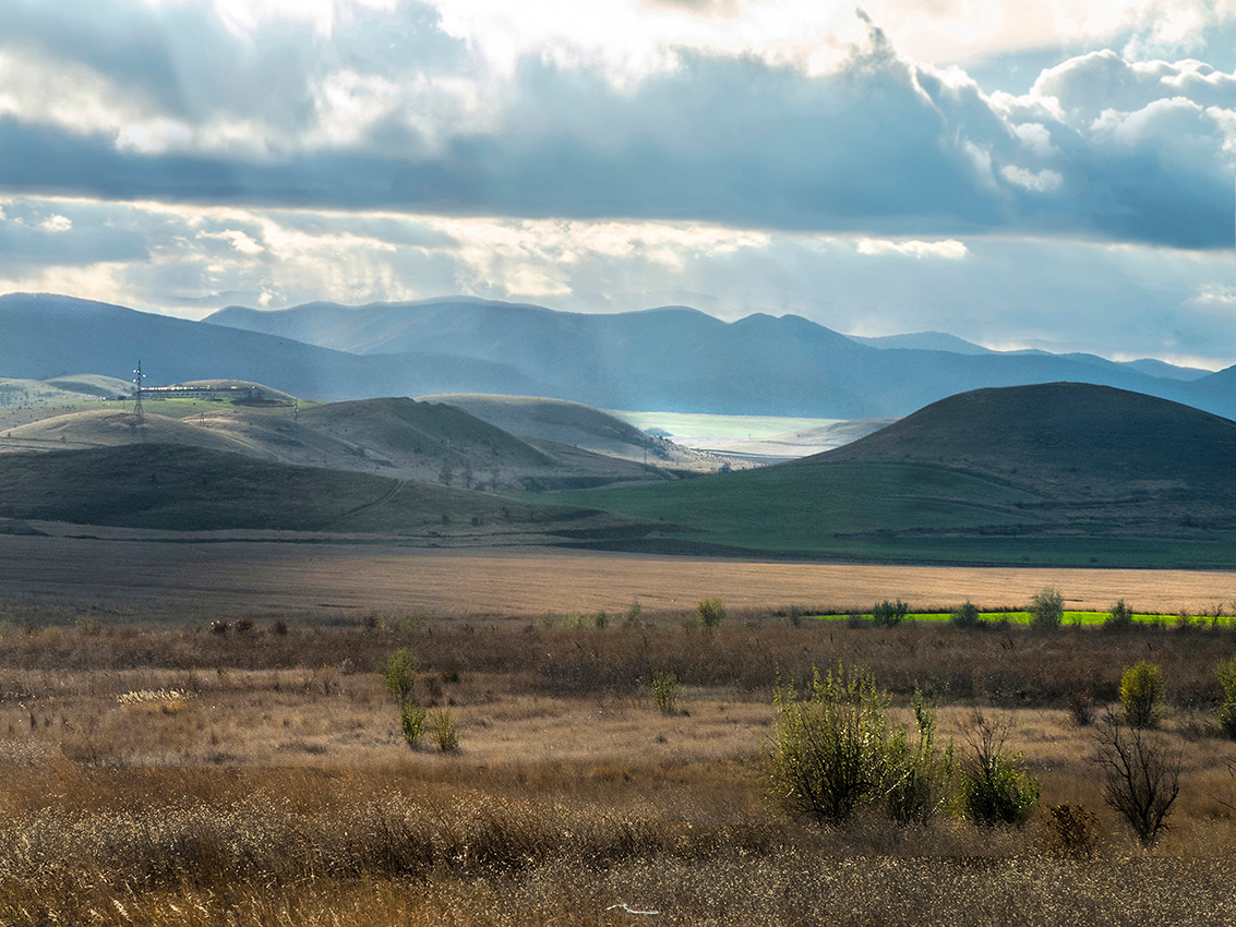 Парад природы