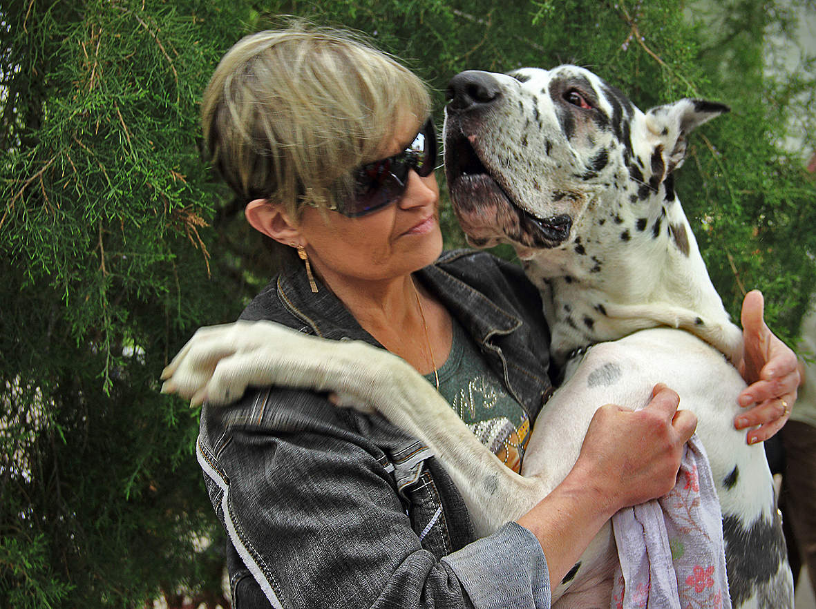 Собака с дамочкой, а не дама с собачкой