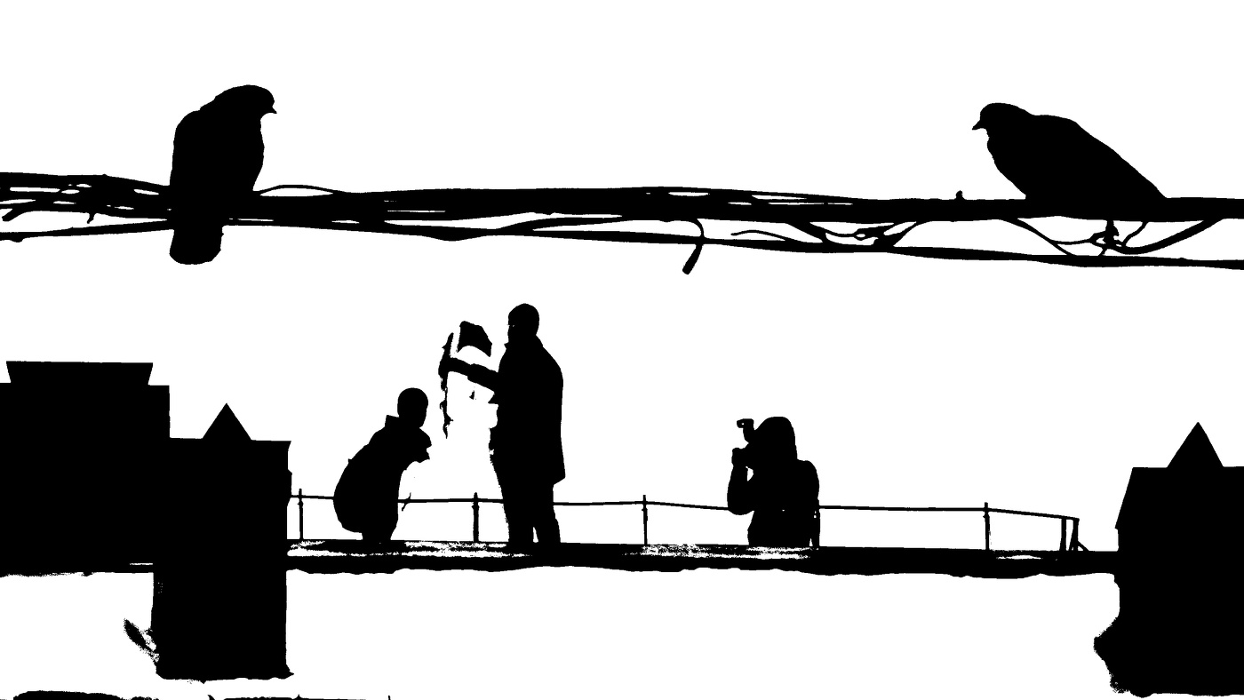 Жизнь вокруг