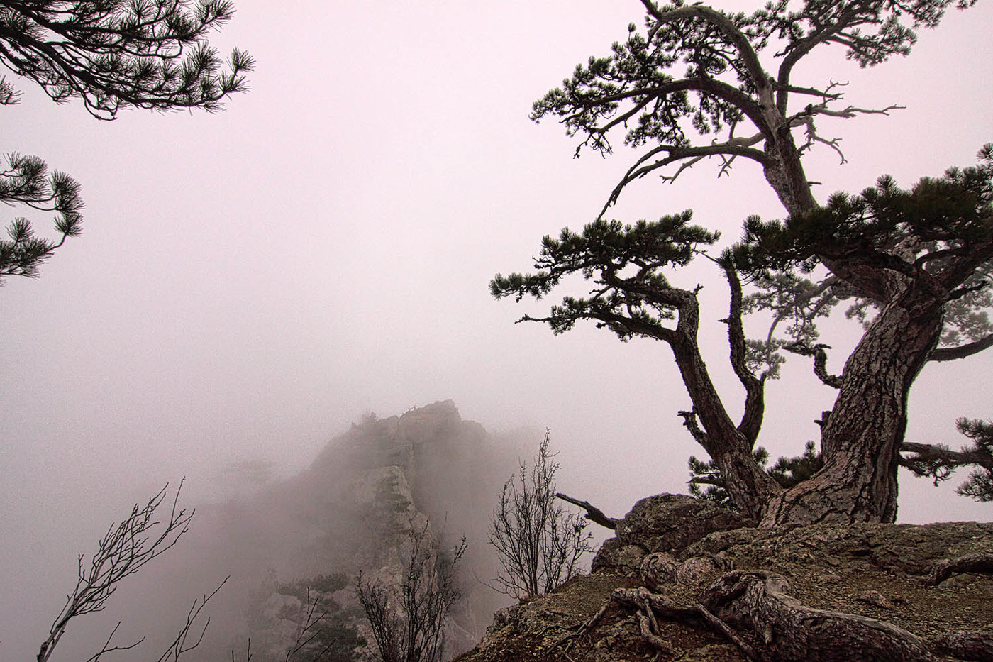 У Ставри-Кая