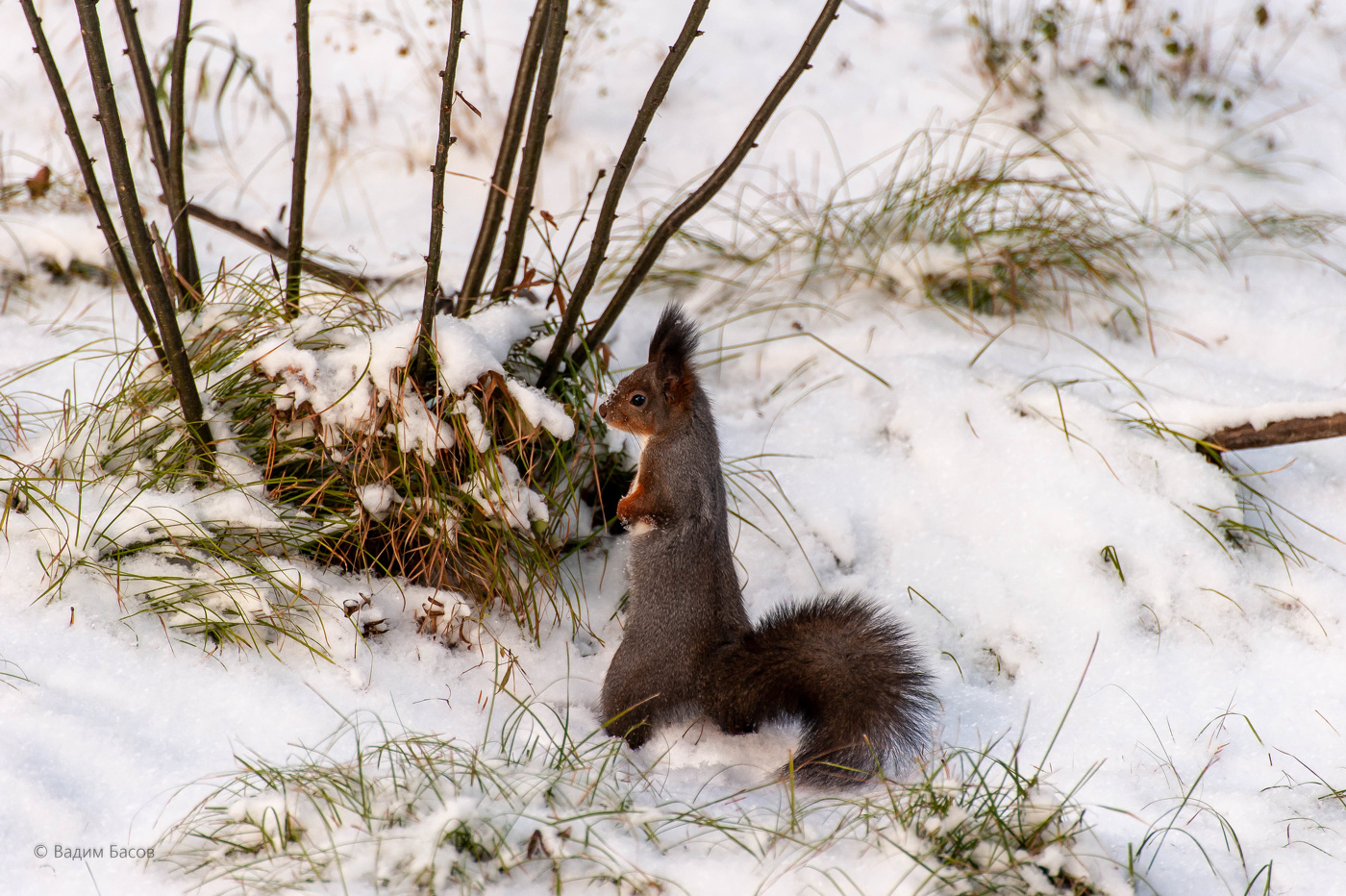 Ну прям модель!