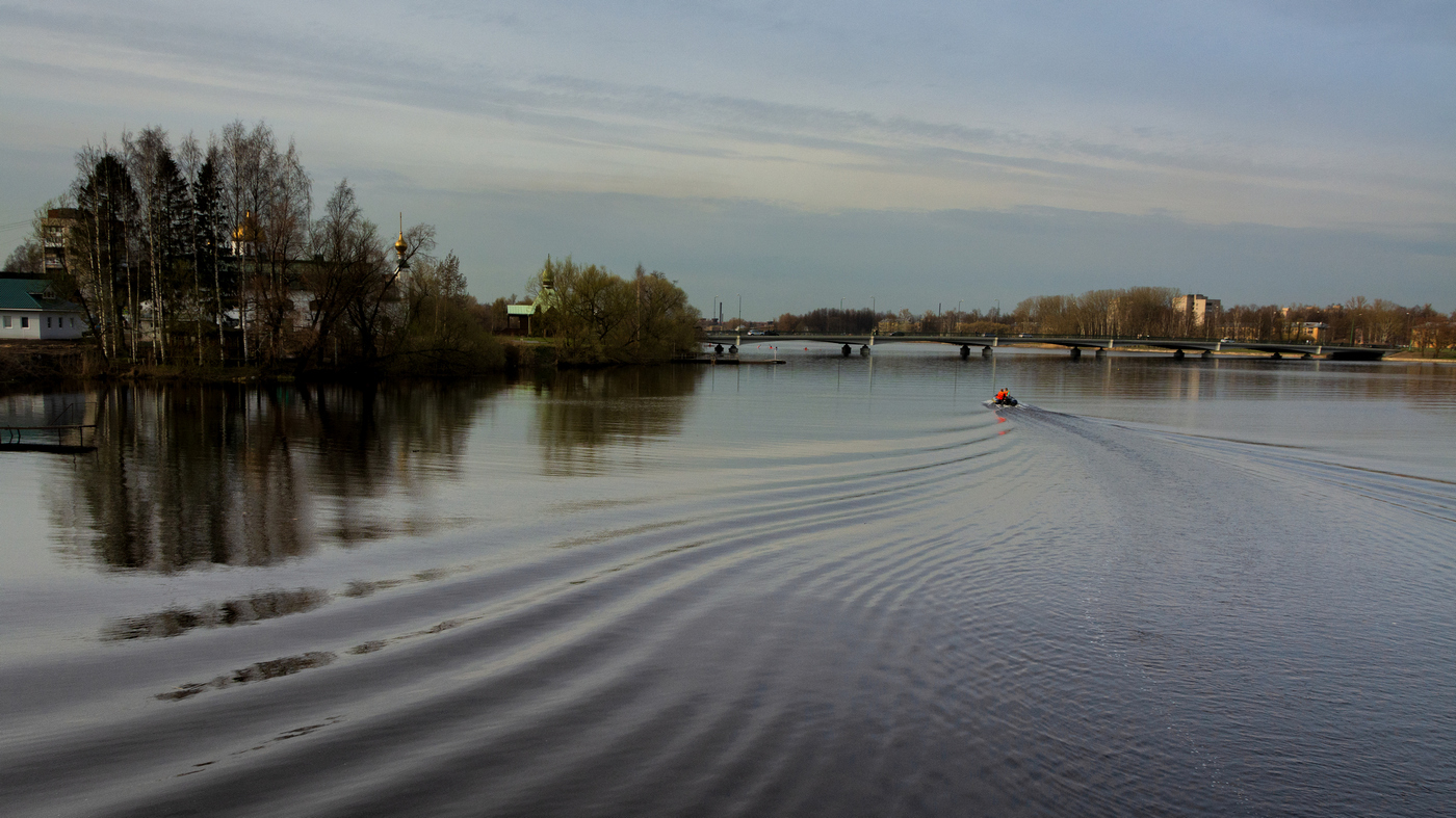 Жизнь вокруг