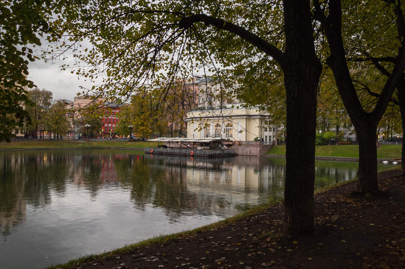 Дождь на Патриарших