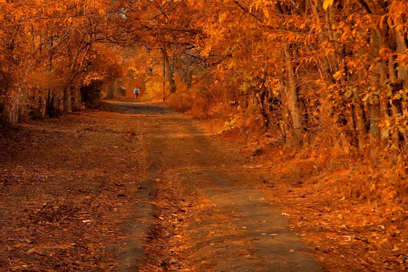 Осенний Марафон