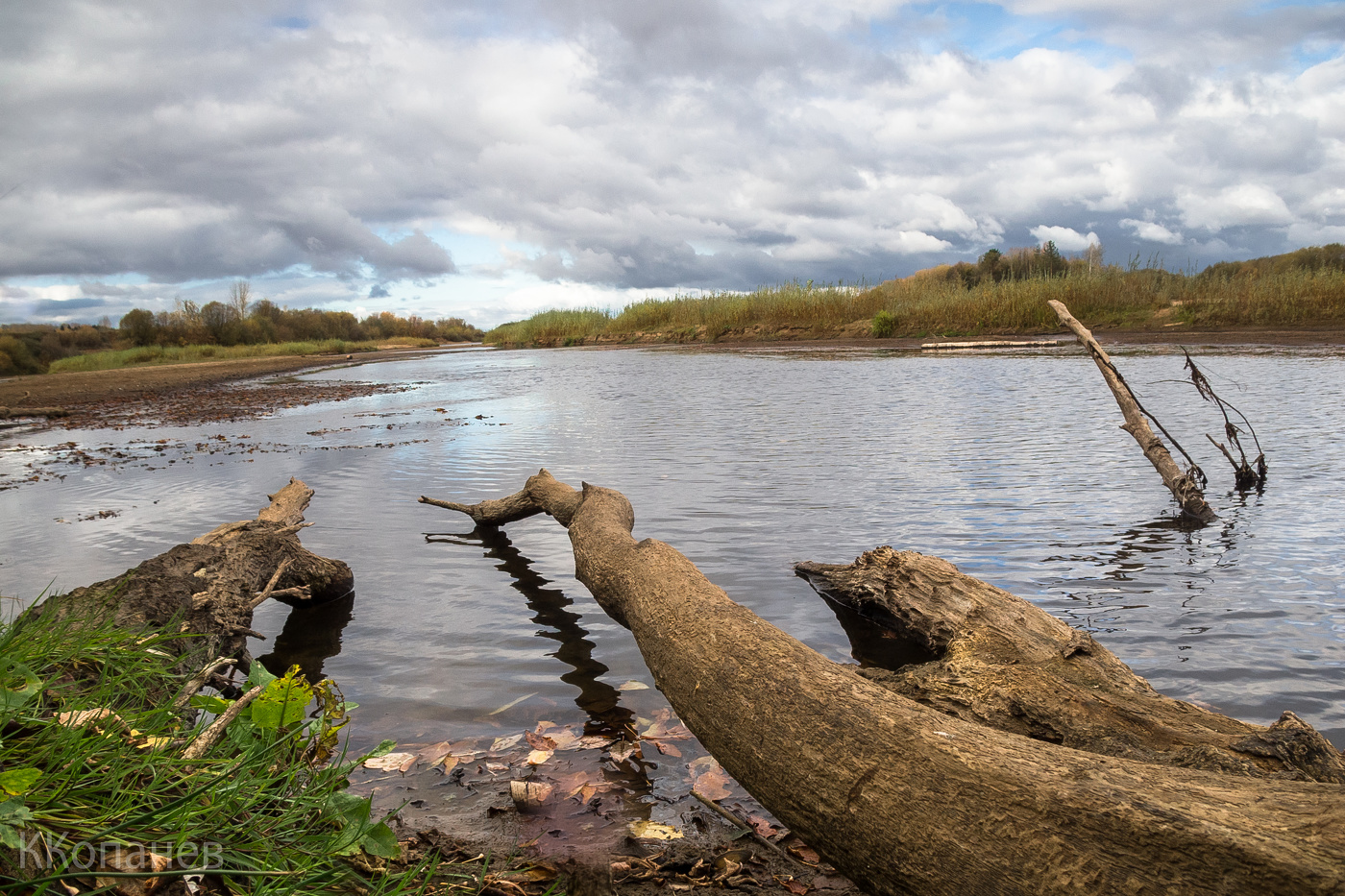 Старое русло