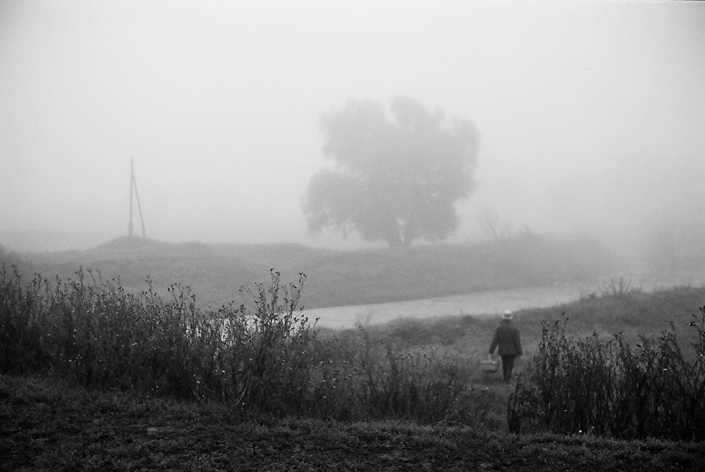 Не спится Икару