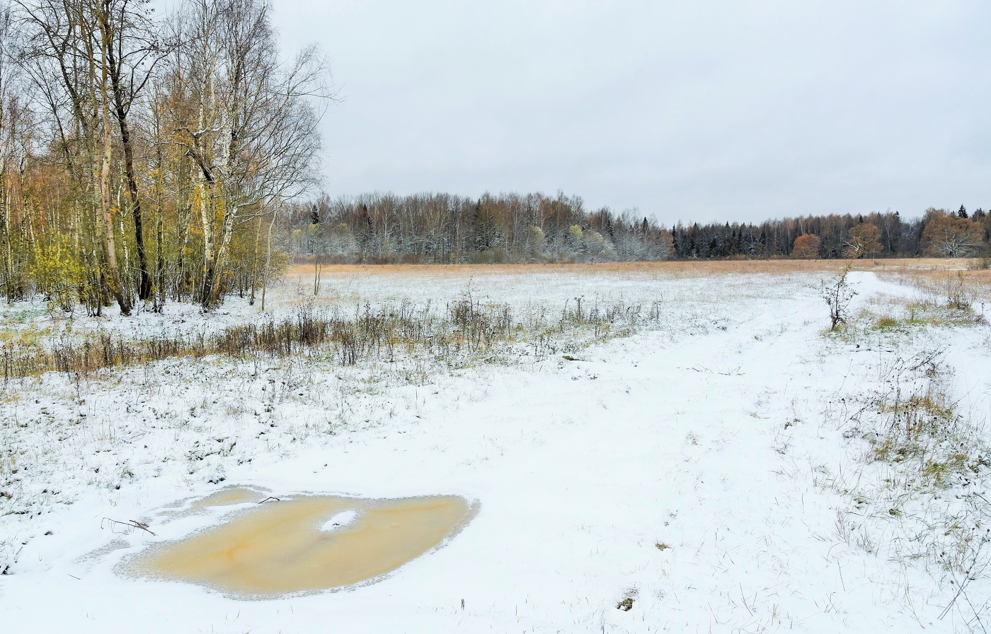 "Как стало тихо на полях от свежевыпавшего снега..."