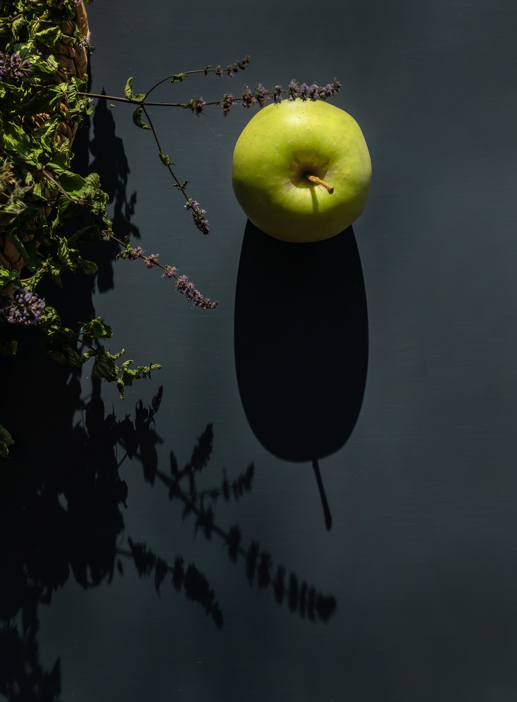 Тени и рисунки солнца