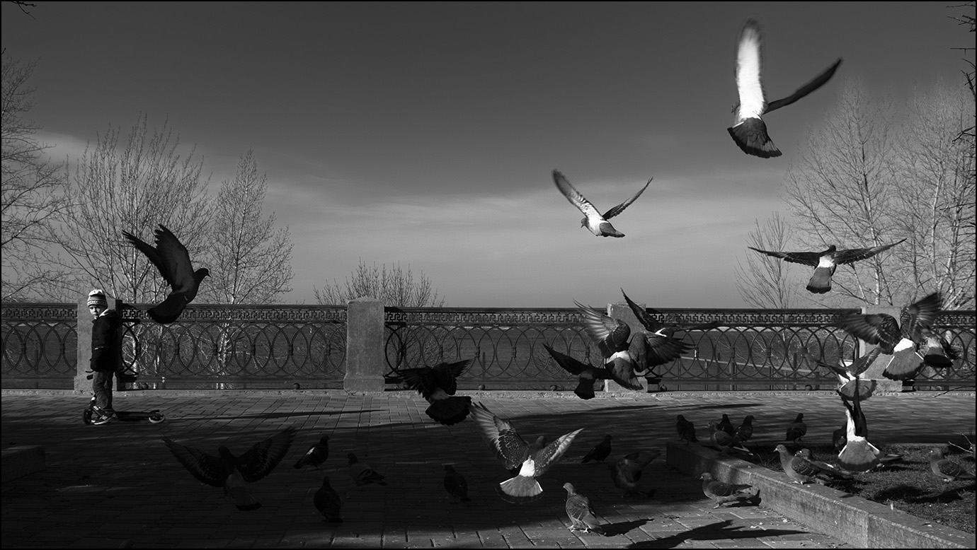 воскресное утро с ветками растений