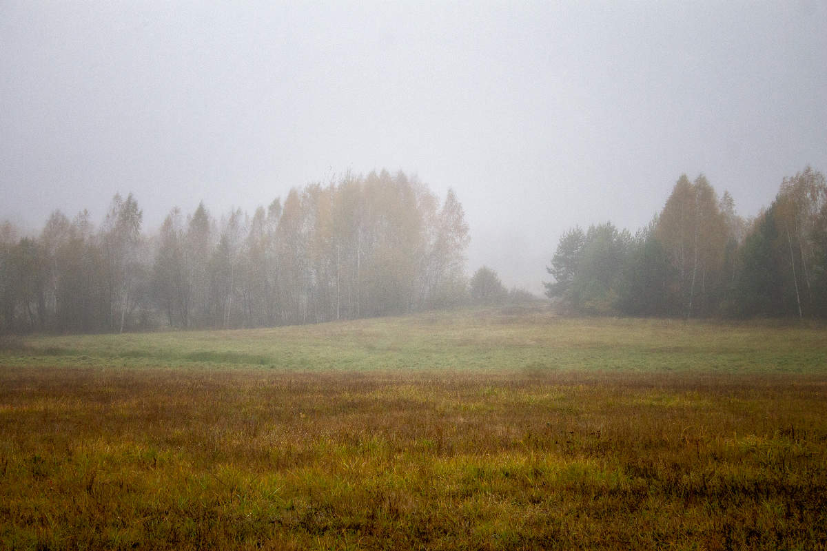 Там за туманами