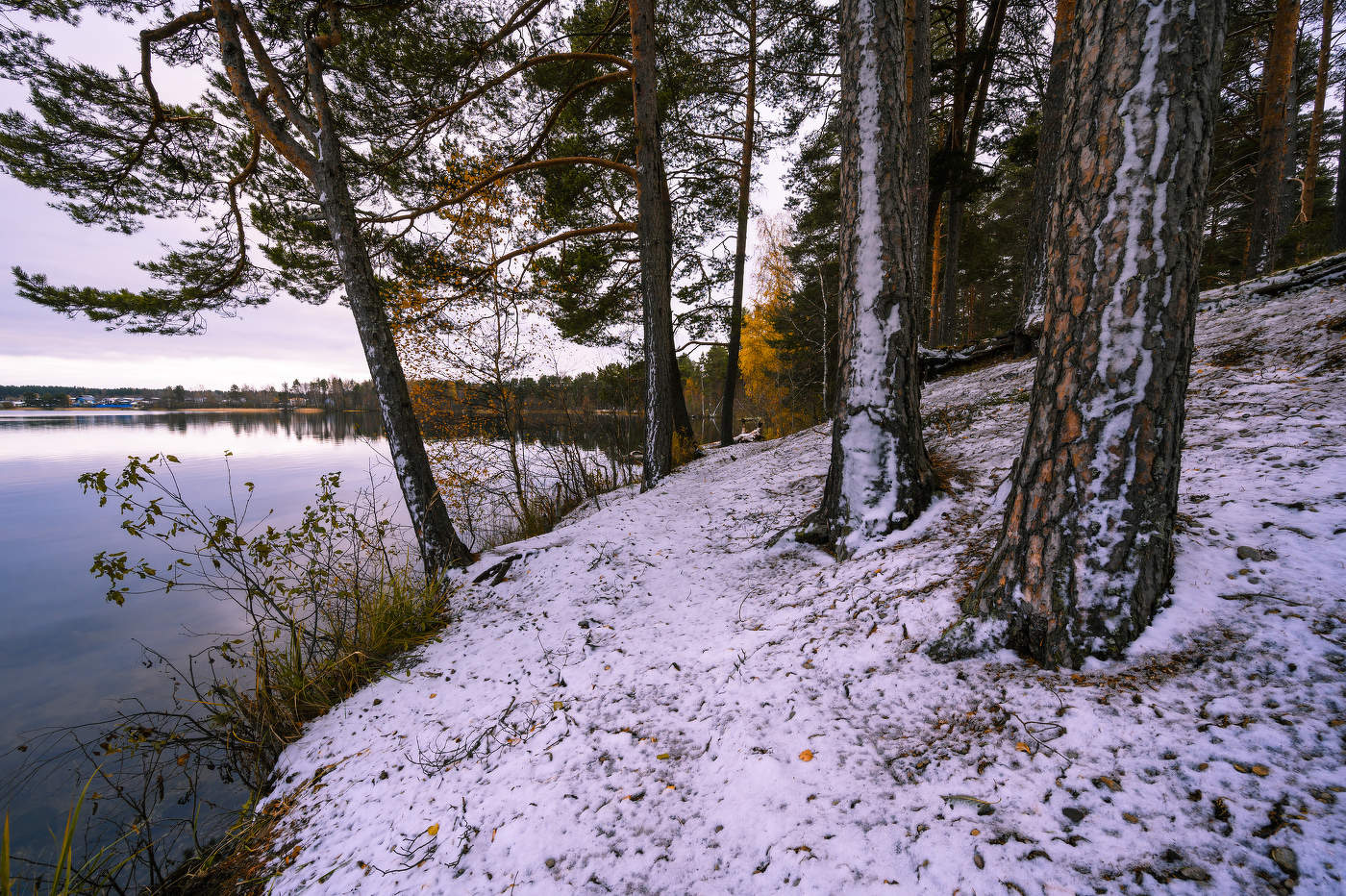 Первый снег на Круглом.