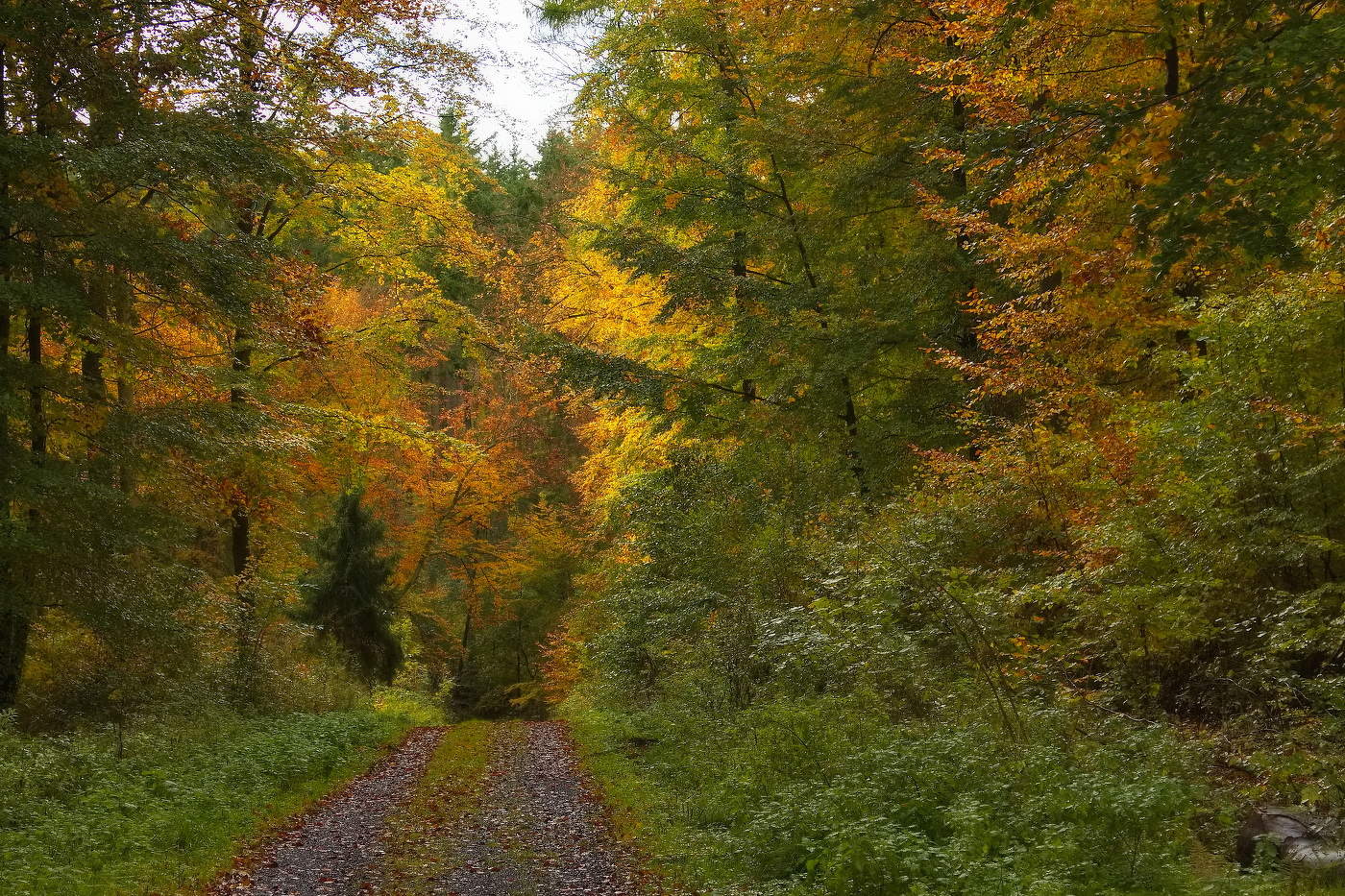 letzten Tag des Monats Oktober
