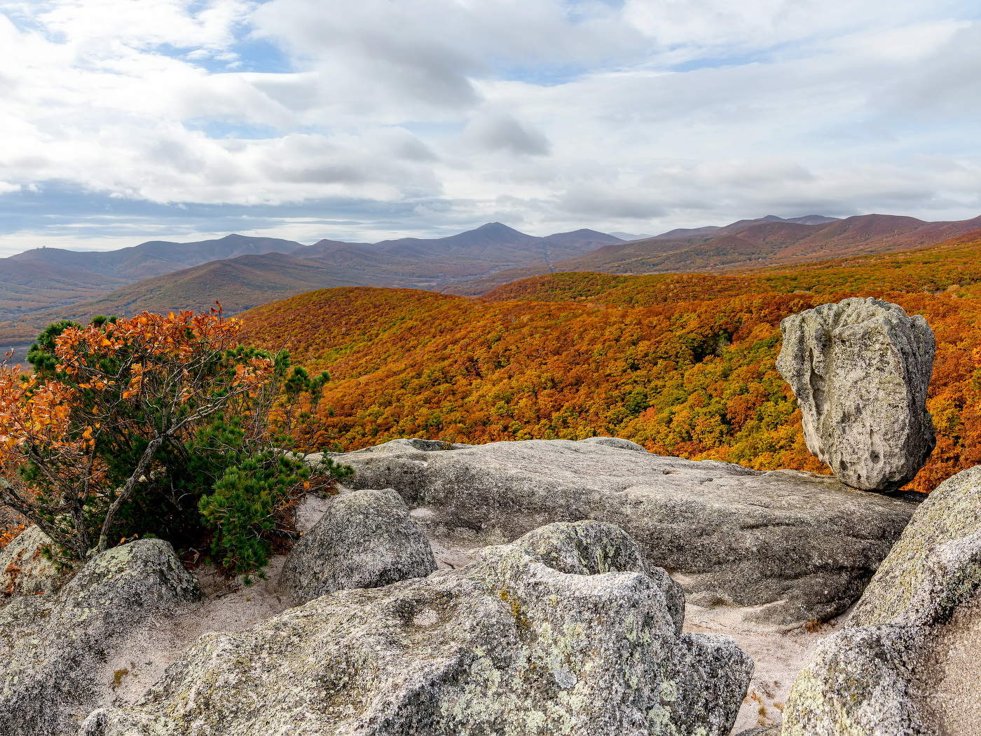 Осенняя "Самоварка"