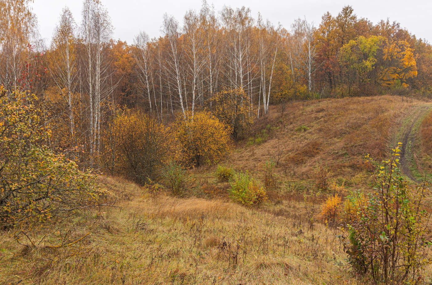 в лесном овражке