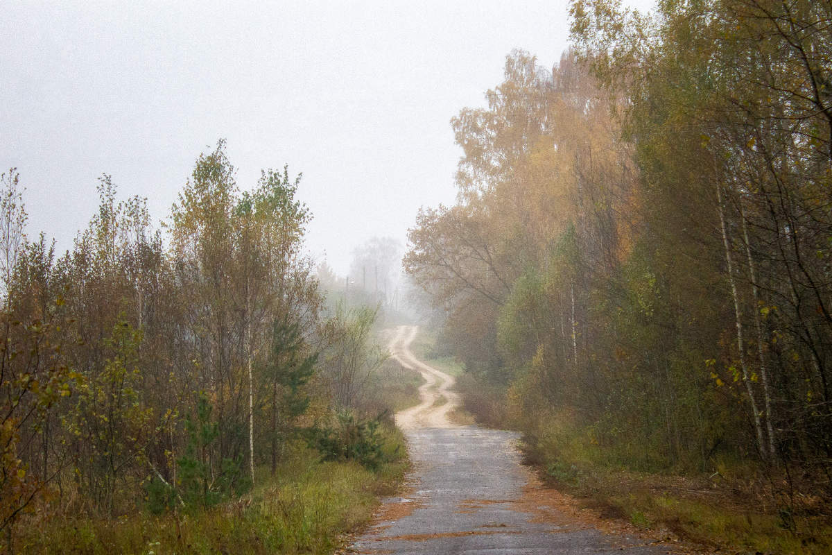 Дорога в прошлое