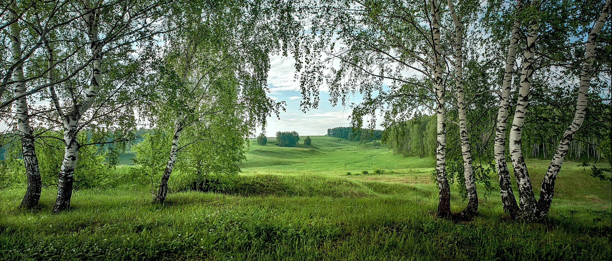 Берёзовый хоровод.