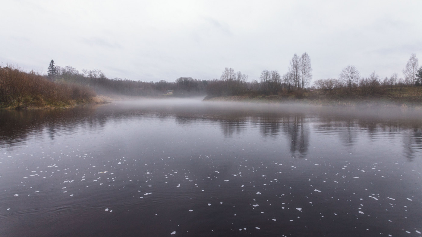 Жизнь вокруг