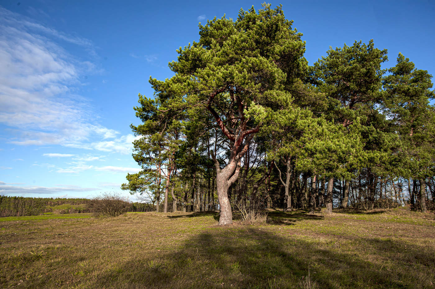 Солнечный день