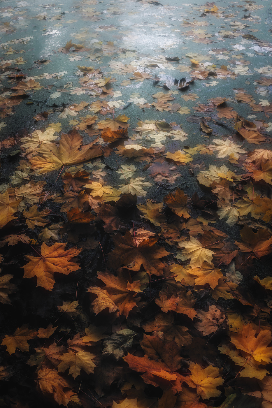 Гаснет бархат позолот…