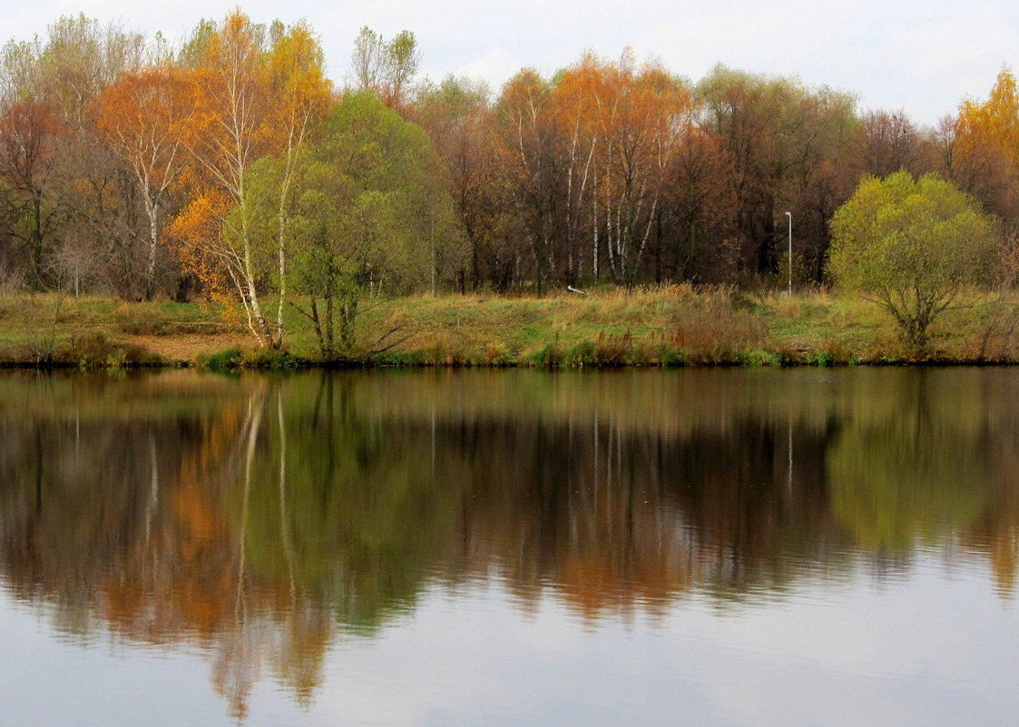 Золотая осень!