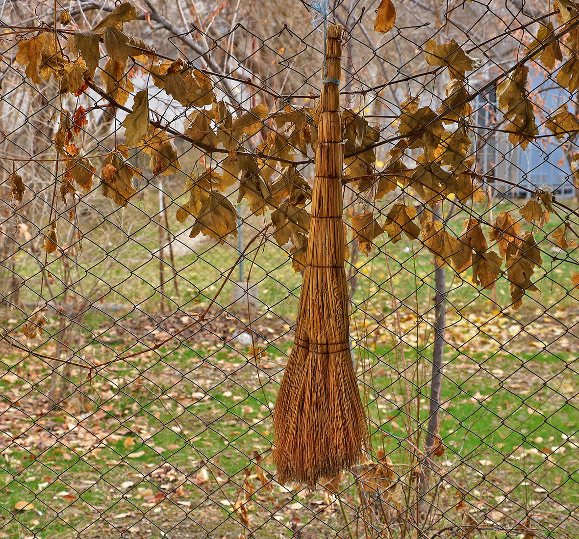 Парковка бабы-Яги