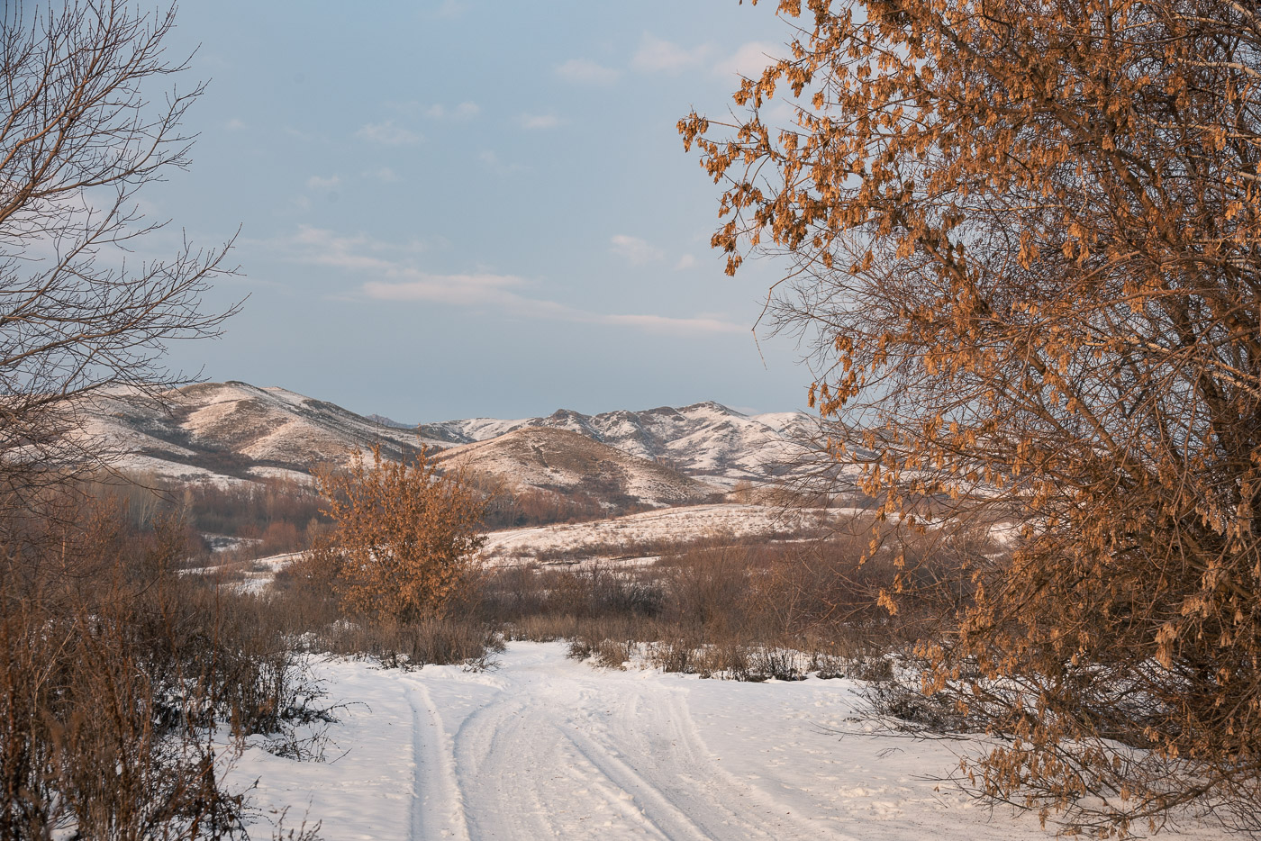 Вот и первый снег