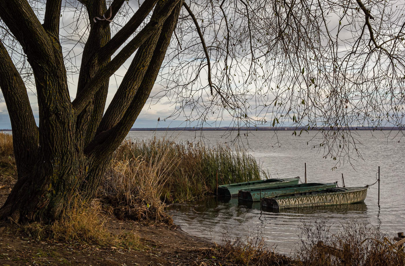 Облетели листья...