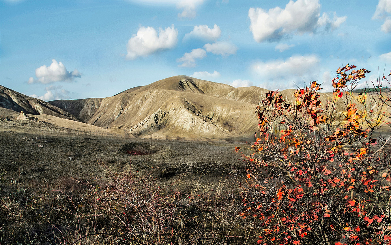 Неопавшая листва