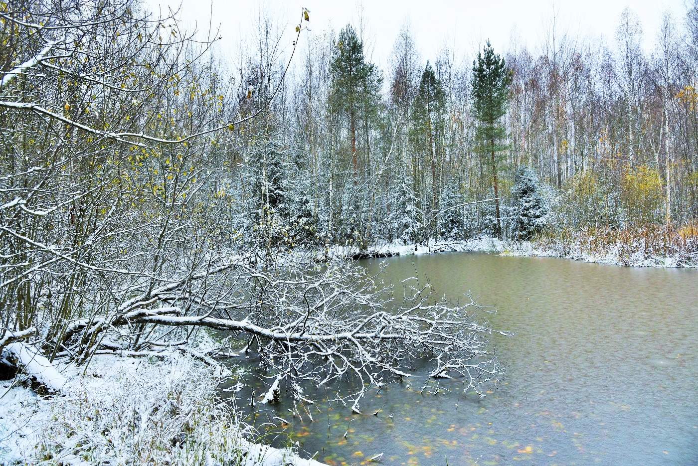 Осень - она такая разная ...