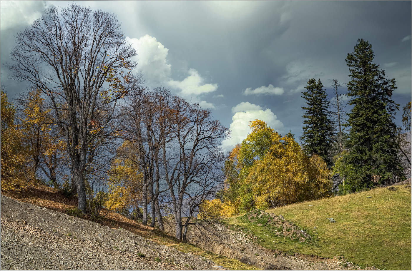 Осенняя пора