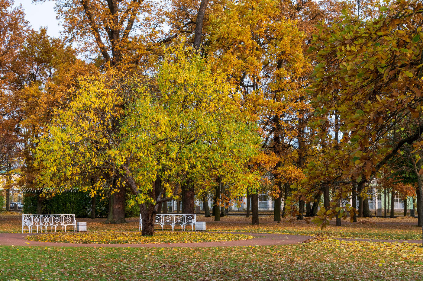 Утров Екатерининском парке.