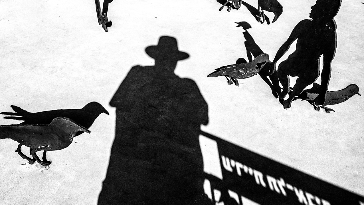 Этюд с собственной тенью