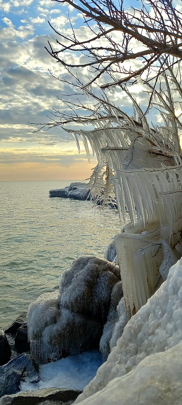 морской берег