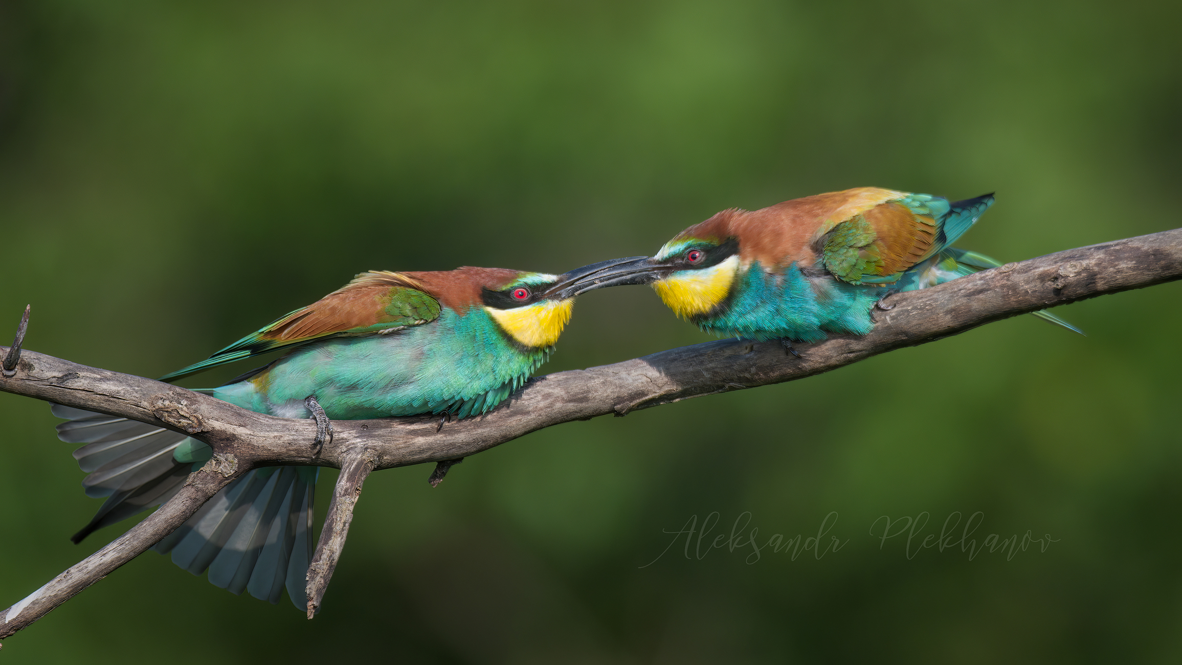 Кто кого сбросит