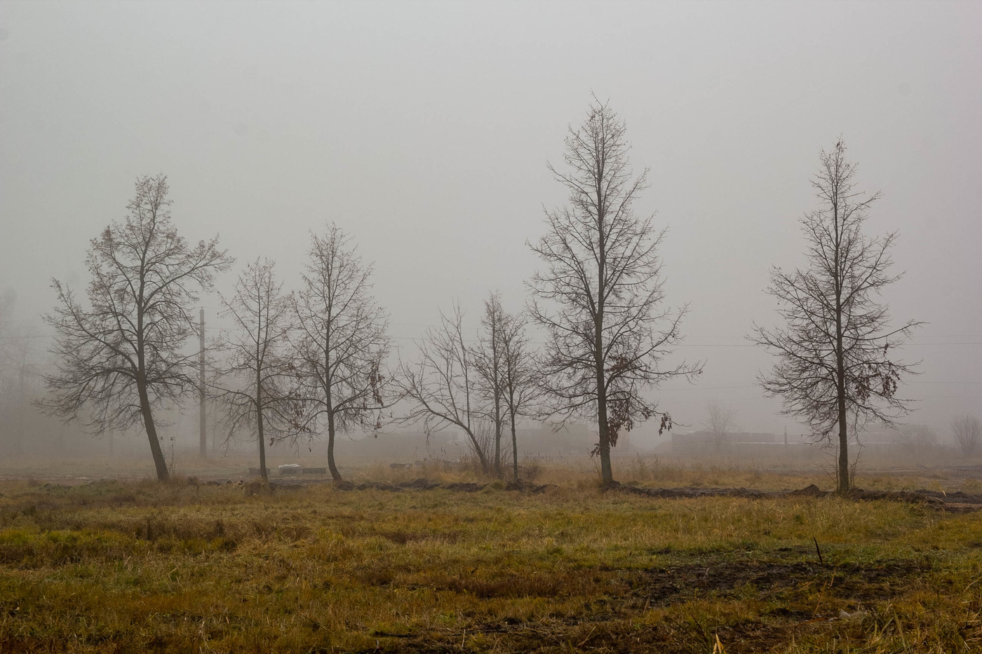 Туманный ноябрь