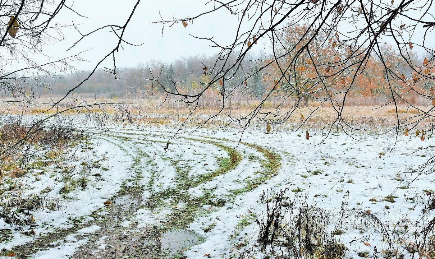 Первый снег красив, но беззащитен ...
