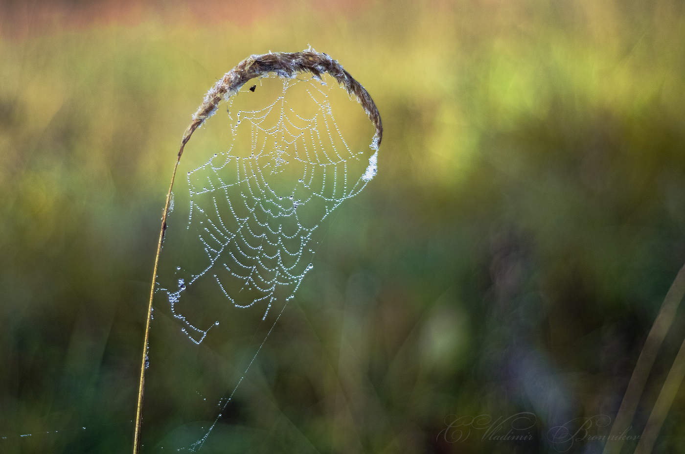 Хрустальное ожерелье