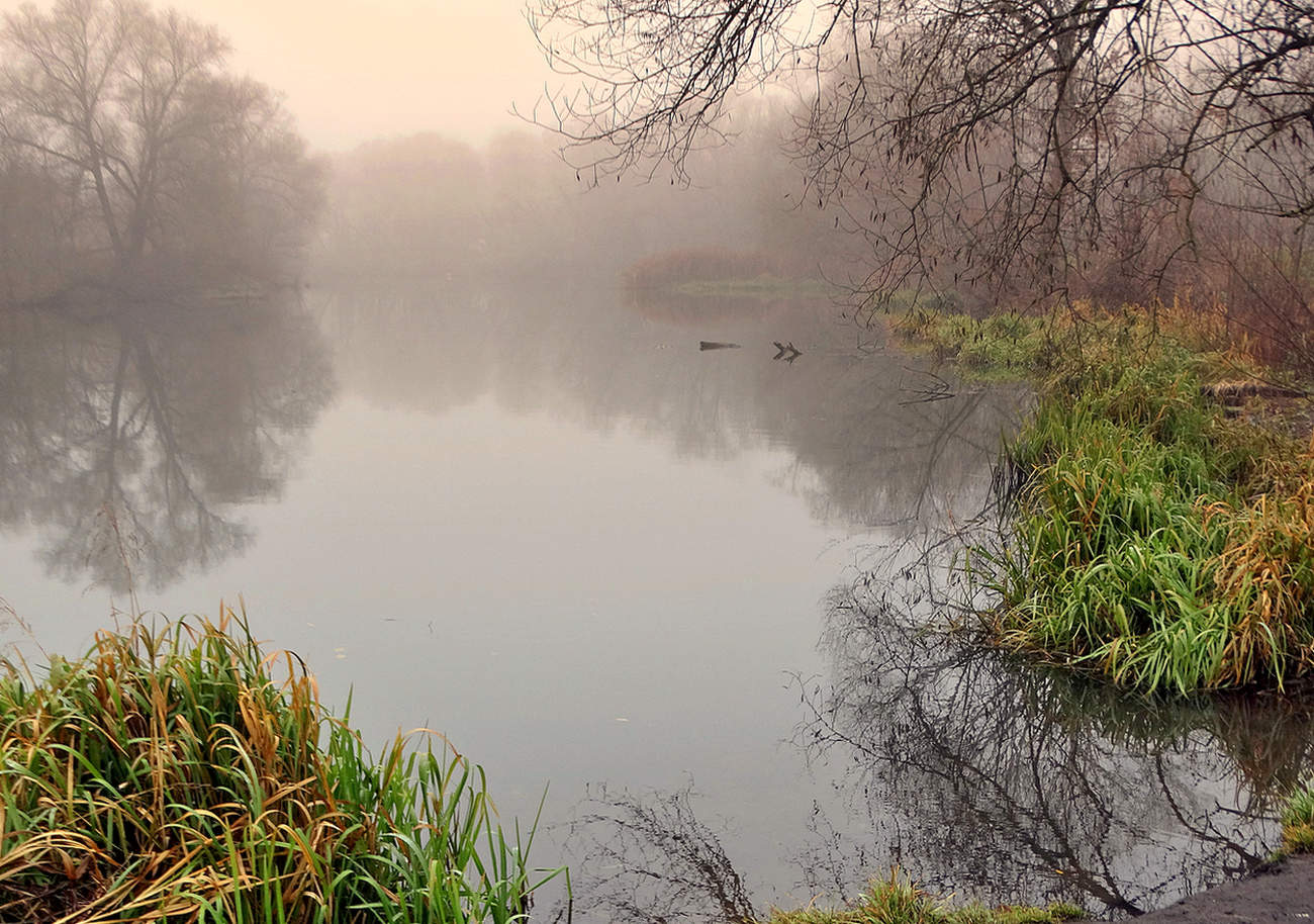 Ноябрьский туман на реке