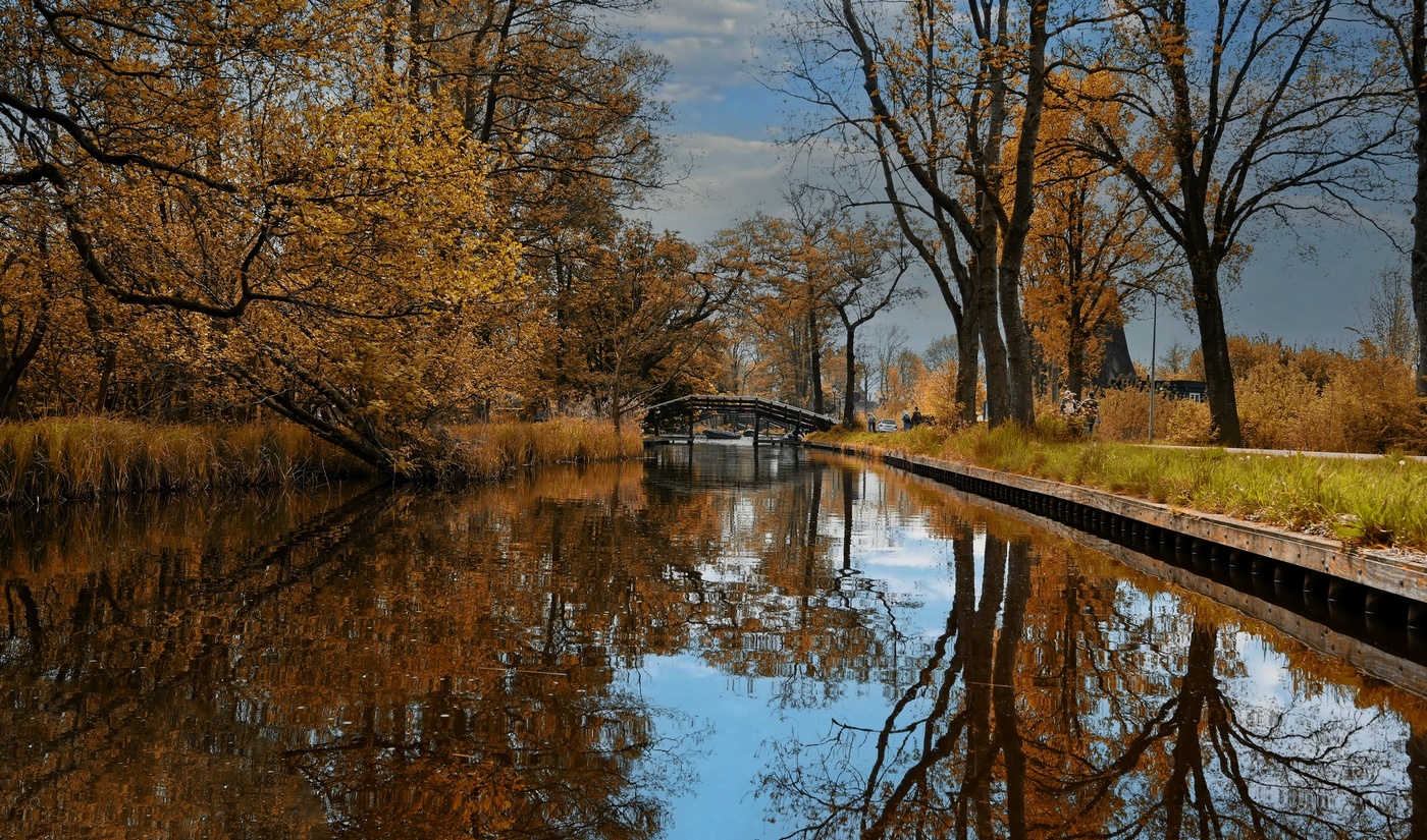 Осенняя зарисовочка