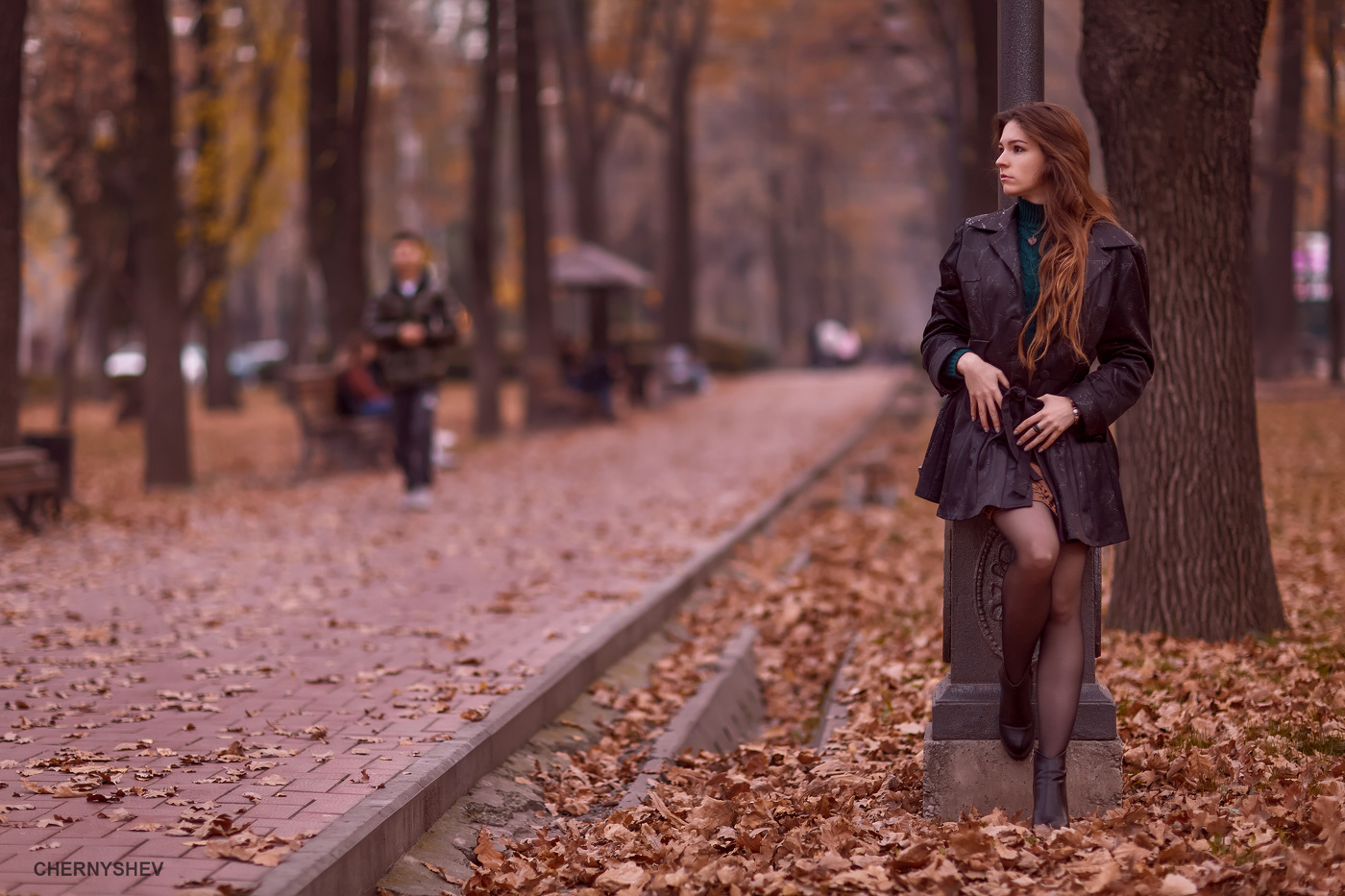 из альбома "логика листьев".