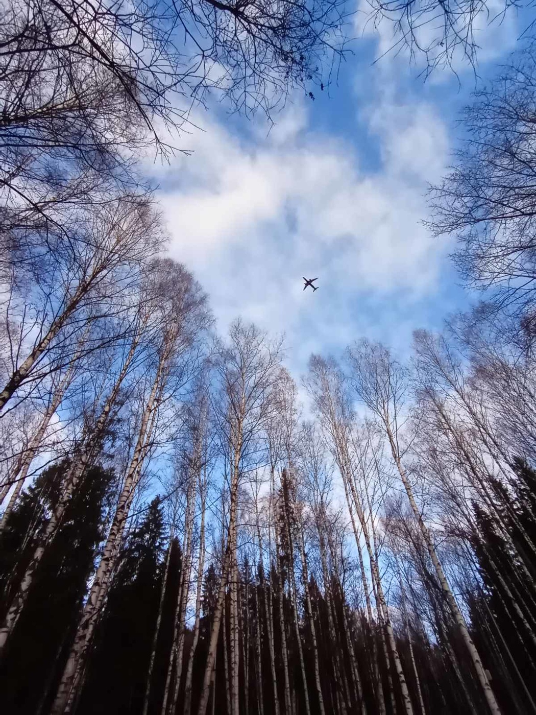 Шум самолёта..