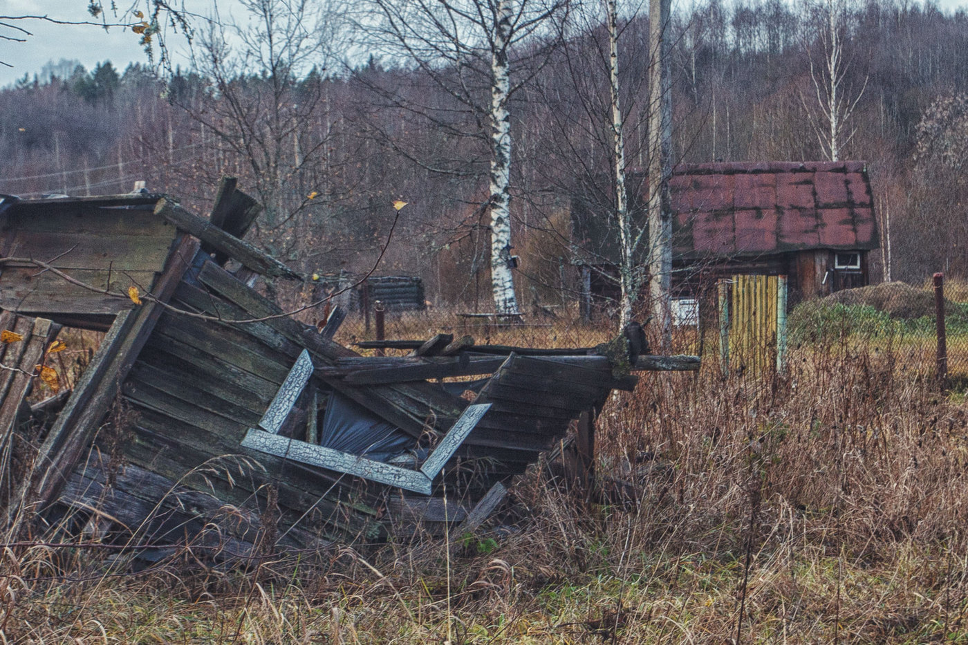 Жизнь вокруг