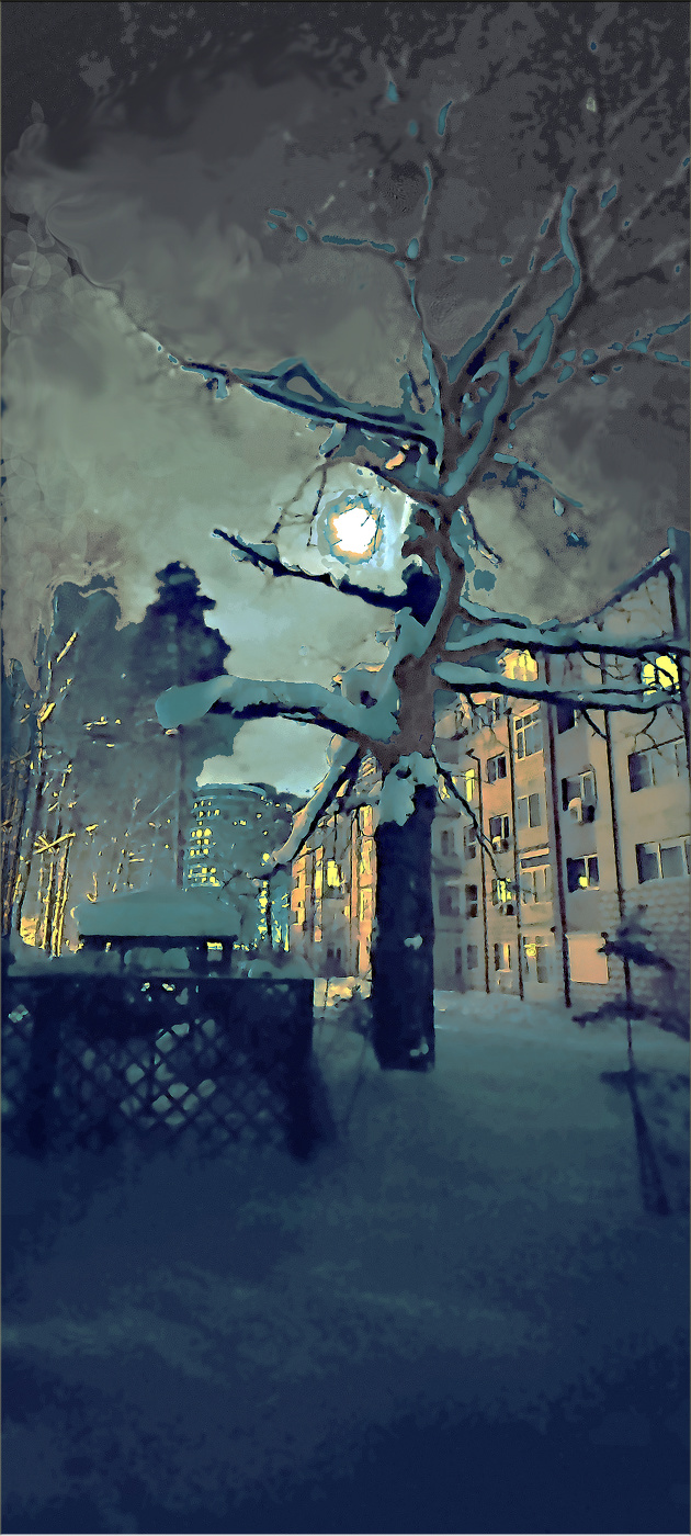 лунная ночь