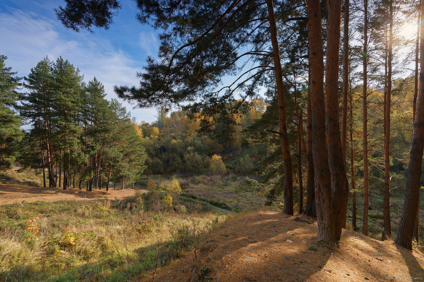 Жареное утро