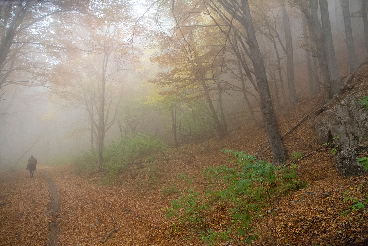 Ох, туманы мои...