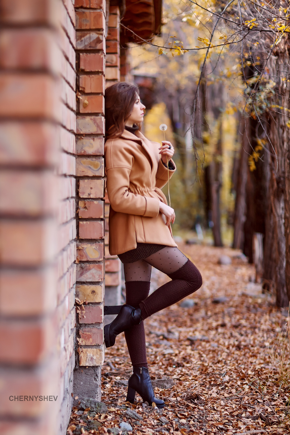 из альбома "логика листьев".