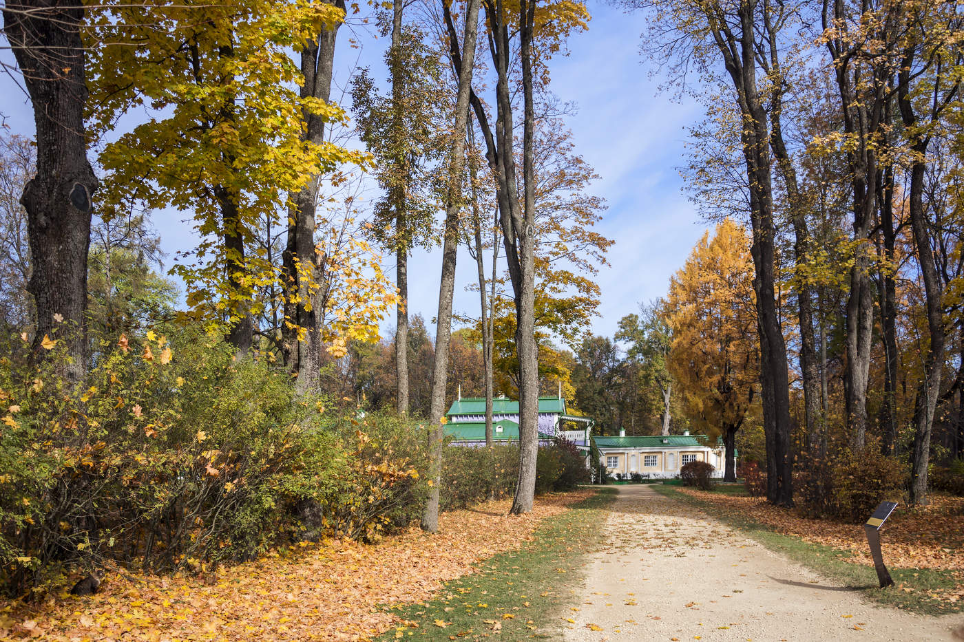 К дому Тургенева...