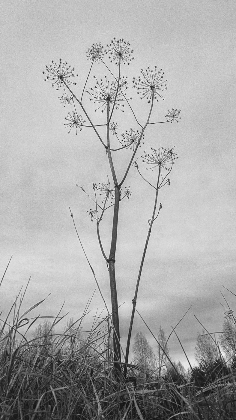 Жизнь вокруг