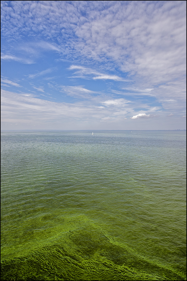 парус белеет