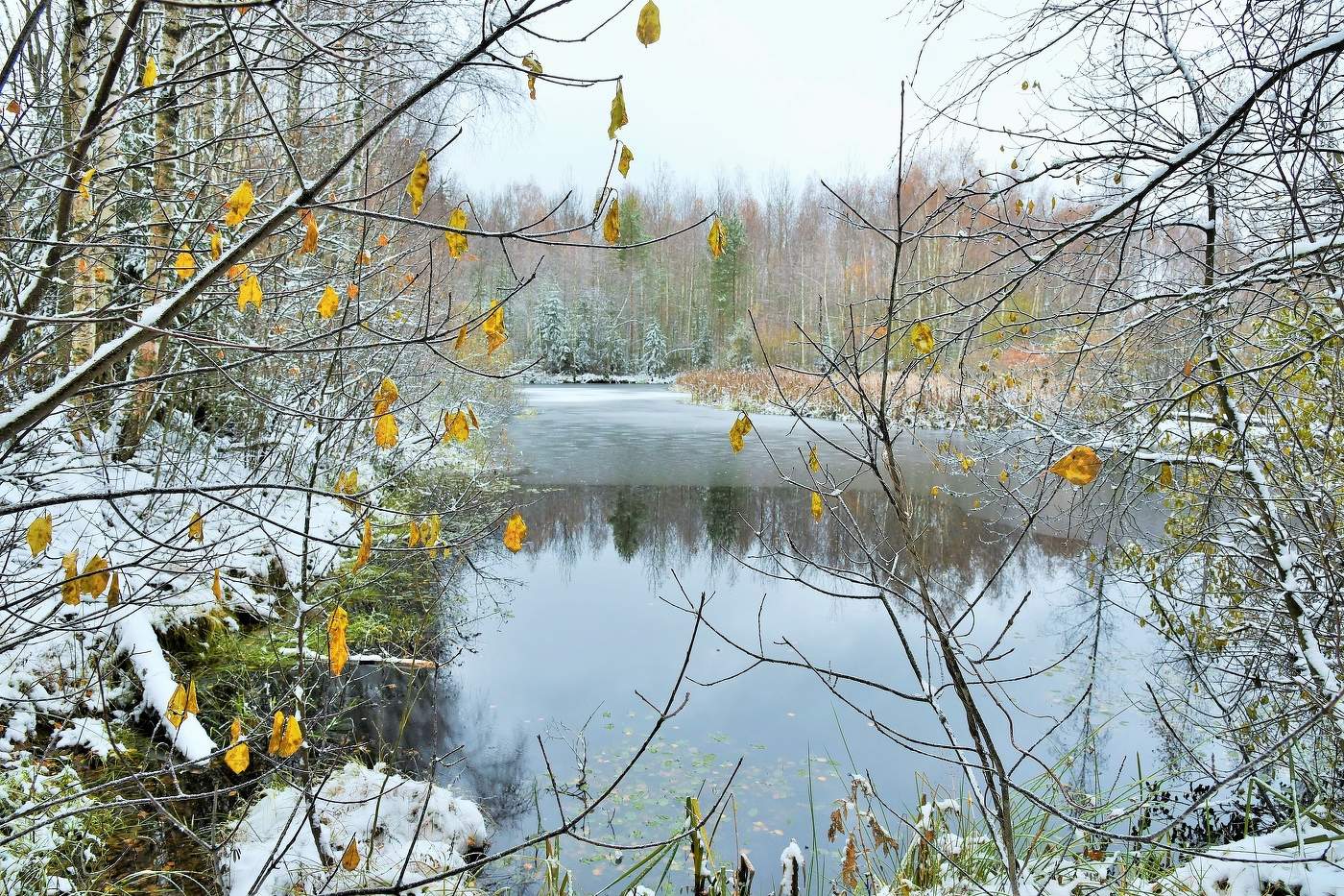 "Унылою, должно быть, в ноябре бывает осень, грустно обнажаясь..."